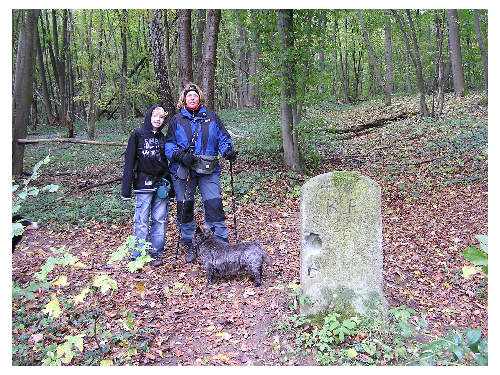 Historische Grenzsteine am Wegesrand